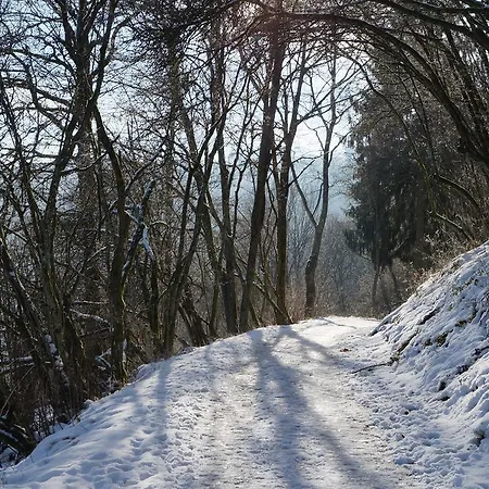 Ferienhauser Sonnenhohe Schalkenmehren