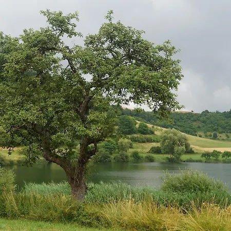 Vakantiehuis Ferienhauser Sonnenhohe Schalkenmehren