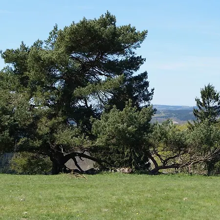 Ferienhauser Sonnenhohe